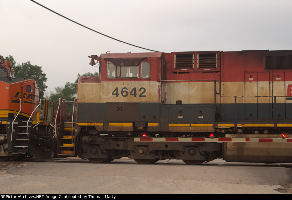 BCOL 4642